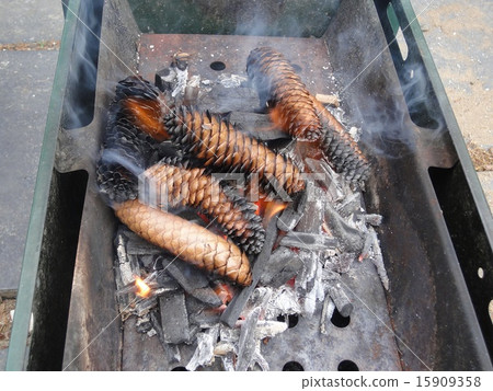 燒烤火 15909358