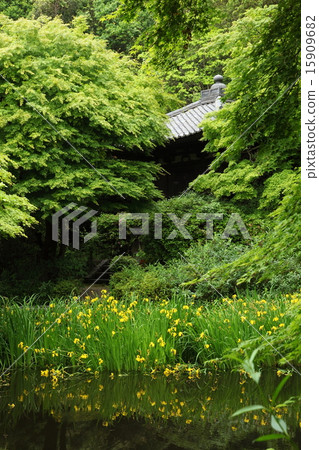 Kishoub的排外神廟 15909682