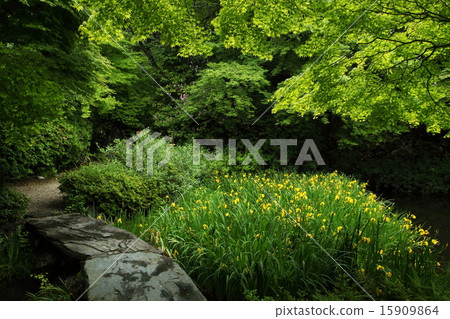 Kishoub of the exclusionary temple 15909864