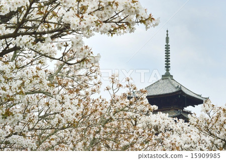 Norimi-ji Temple in Omori 15909985