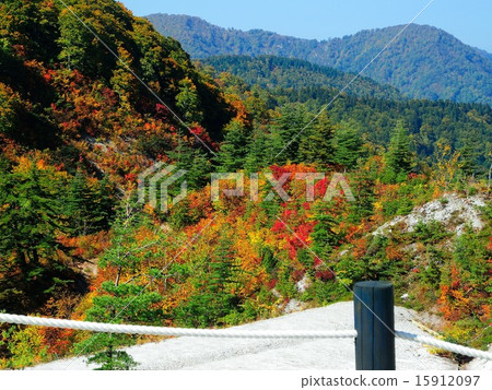 Kawahara Hare Hell Autumn leaves 15912097