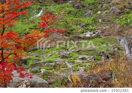 Chabo Mokeke Park Chabo Mokeke Park 15912261