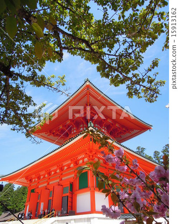 At Koyasan At Koyasan 15913162