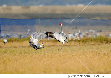 法力起重機 法力起重機 15913296