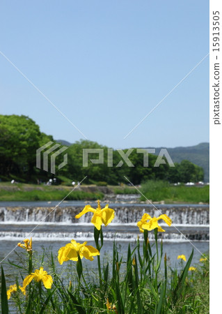 鴨川的Kishoub 15913505