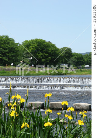 鴨川的Kishoub 鴨川的Kishoub 15913506