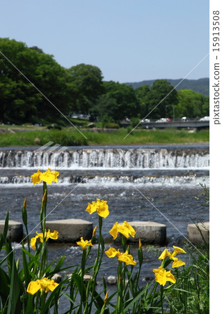 鴨川的Kishoub 15913508