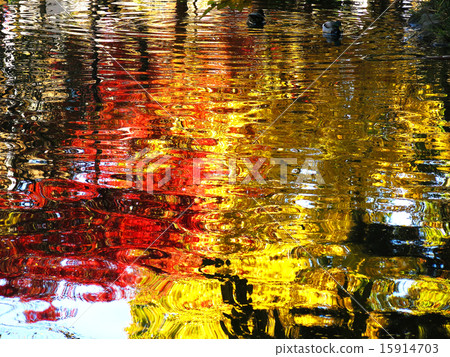 Autumn leaves reflected on the water 15914703
