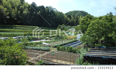 和平的Hatayama 和平的Hatayama 15914913