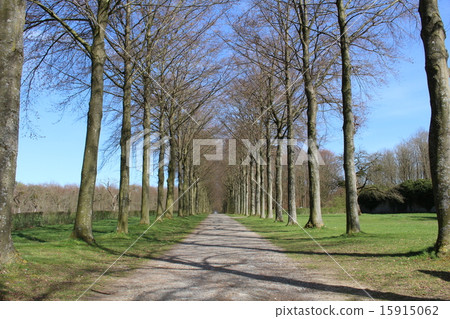 向Modave城堡比利時的路 15915062