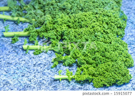 green kale 15915077
