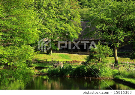 岩手縣北上市夏天村 岩手縣北上市夏天村 15915393