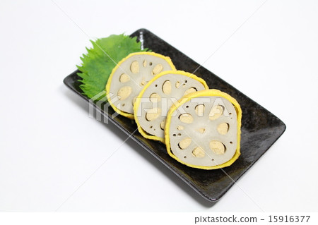 Shirow lotus root 15916377