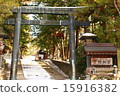 Suwa Taisha Shrine 15916382