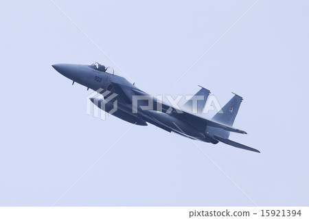 F15 Eagle 15921394