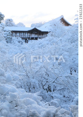 京都雪Tofukuji washball 15922283