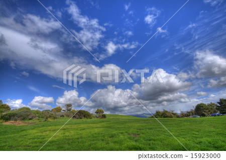 Green Grass Landscape Green Grass Landscape 15923000