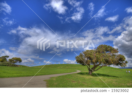 Landscape with Path Landscape with Path 15923002