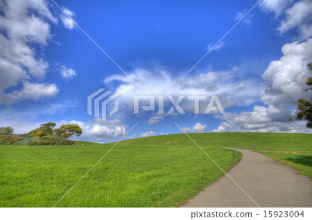 Green Grass Landscape with path 15923004