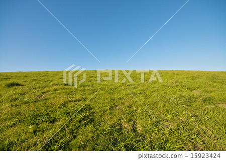 Green Grass Landscape and blue sky 15923424