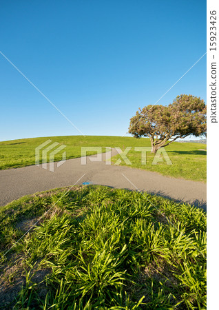 Merging path Merging path 15923426