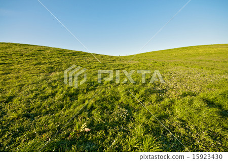 Green Grass Landscape and blue sky California 15923430
