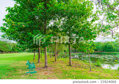 Bench in Green lawn at city park 15924068