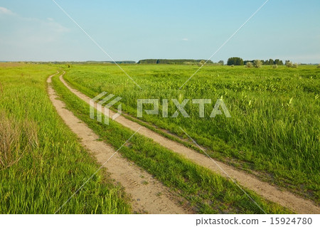 Field with path Field with path 15924780