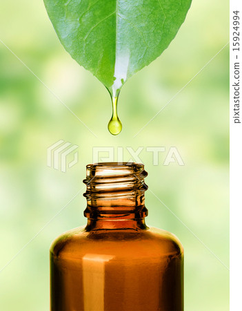 美容精華有機精油圖像 15924994