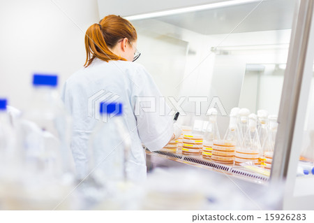 Life scientist researching in the laboratory. Life scientist researching in the laboratory. 15926283