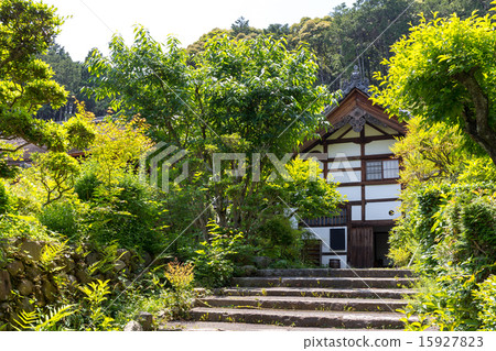 Shogun temple of fresh green 15927823