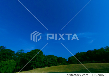  公園 15928078