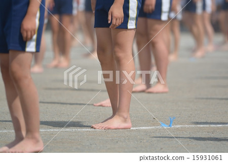 Elementary school sports festival gymnastics 15931061