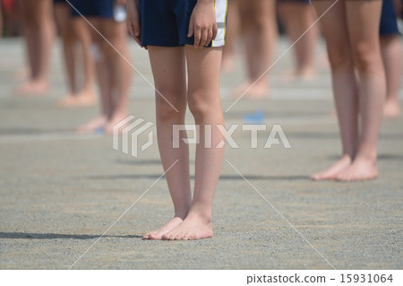 Elementary school sports festival gymnastics 15931064