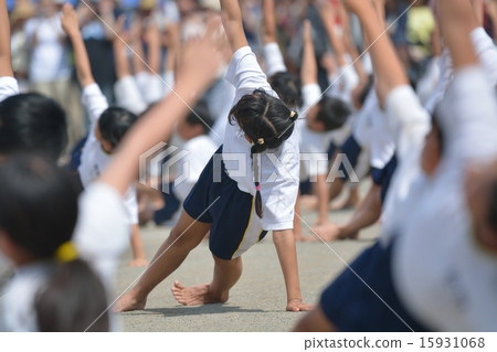 Elementary school sports festival gymnastics 15931068