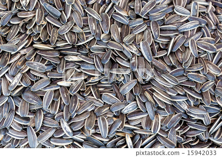 background of organic sunflower seed 15942033
