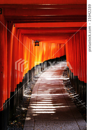 Fushimi Inari shrine Torii Torii 15942289