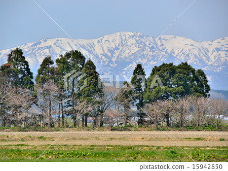 Furusato's Harbor view Furusato's Harbor view 15942850