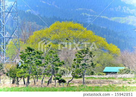 Harusato的視圖 15942851