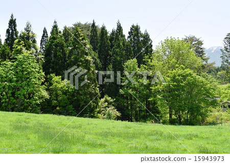 Landscape of the Moon Mountain ranch of May 15943973