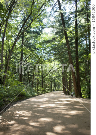 Llandscape_005 Llandscape_005 15945300