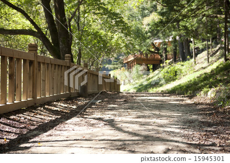 Llandscape_006 Llandscape_006 15945301