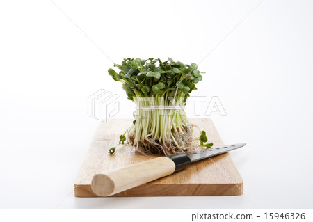 Healthy Food_148 15946326