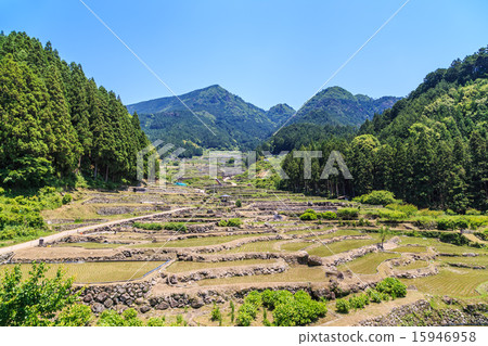 Yotsuya's thousand sheets 15946958