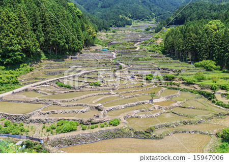 Yotsuya's thousand sheets 15947006