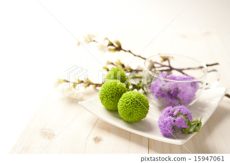 Spring & Green_053 15947061