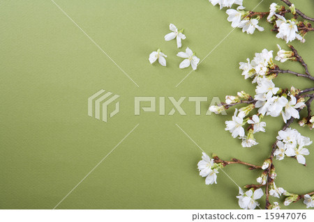 Spring & Green_083 Spring & Green_083 15947076