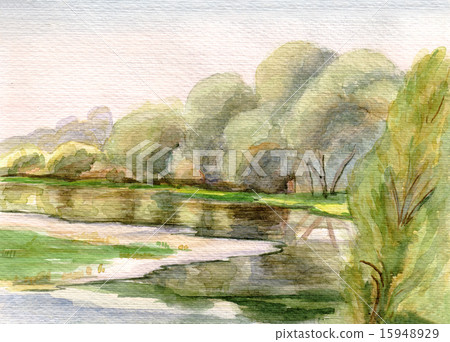 Willows at the river 15948929