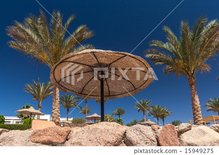 Beach at the luxury hotel, Sharm el Sheikh, Egypt 15949275