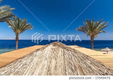 Beach at the luxury hotel, Sharm el Sheikh, Egypt 15949478